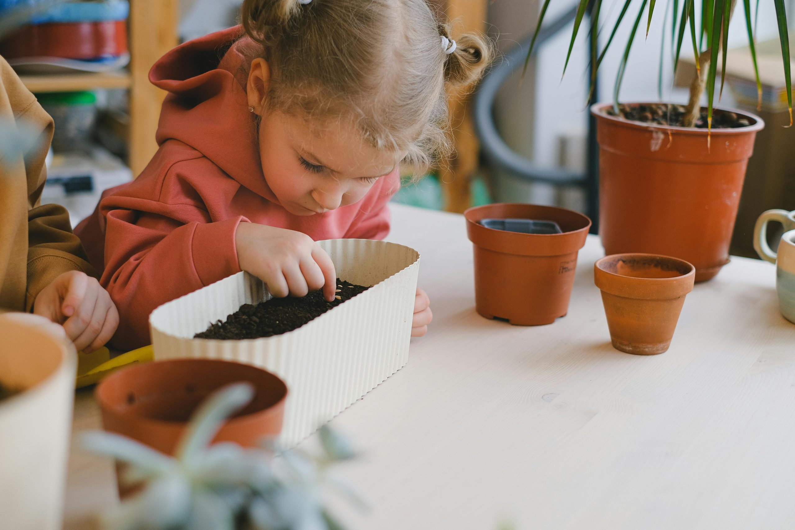 Cultivating Curiosity Through Unstructured Exploration In Early Years