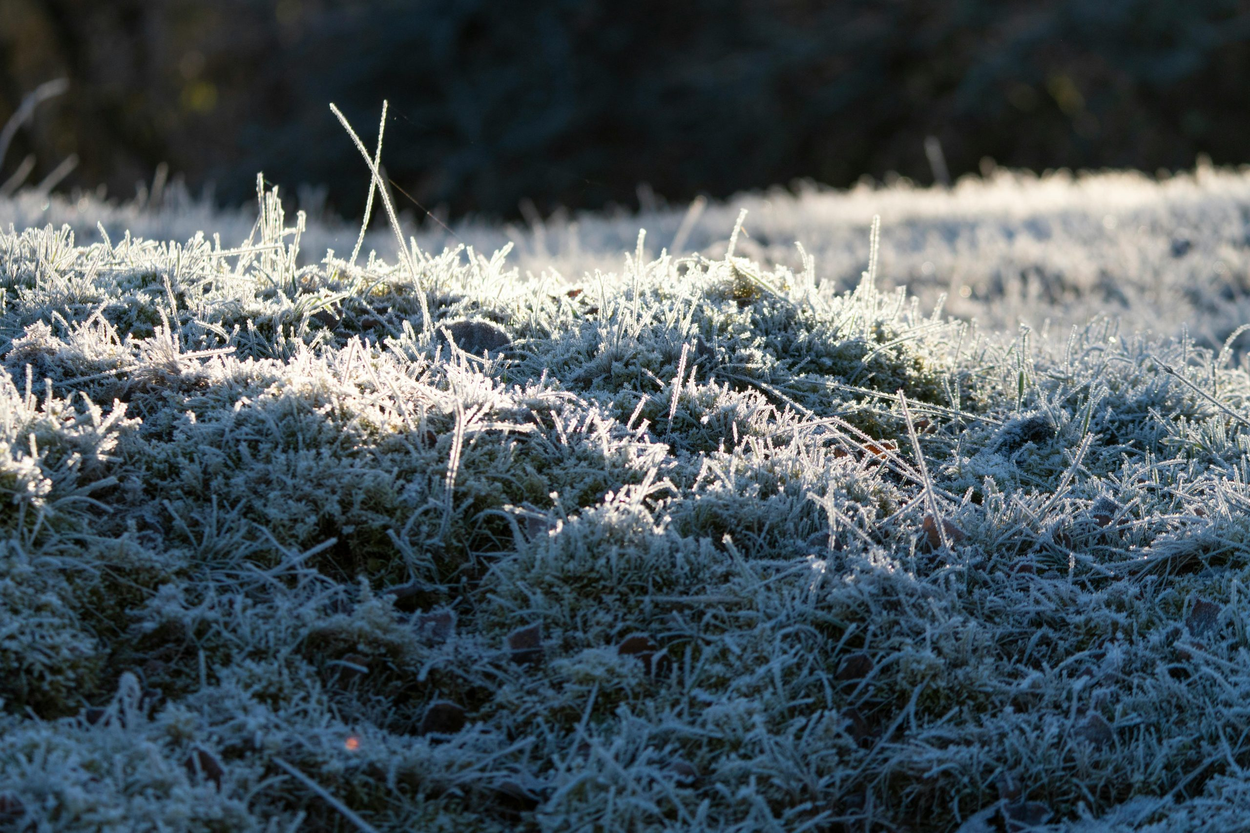 Seasonal Transition Pieces For A Seamless Weather Shift