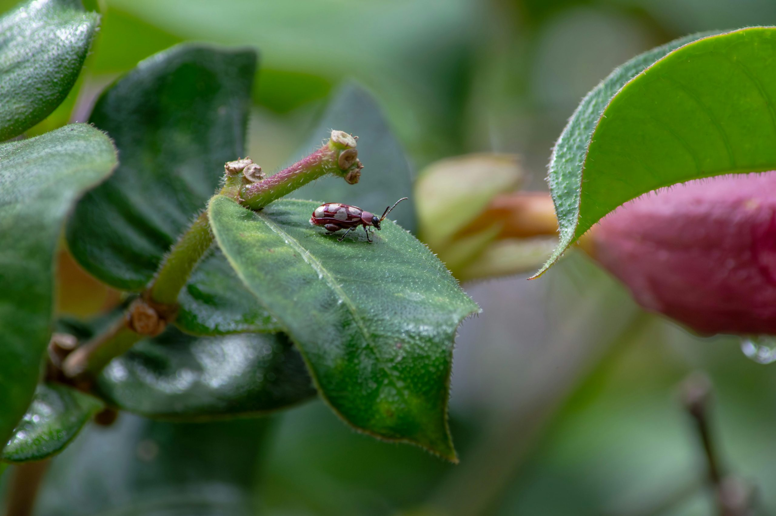 The Importance of Detailed Record-Keeping for Investors